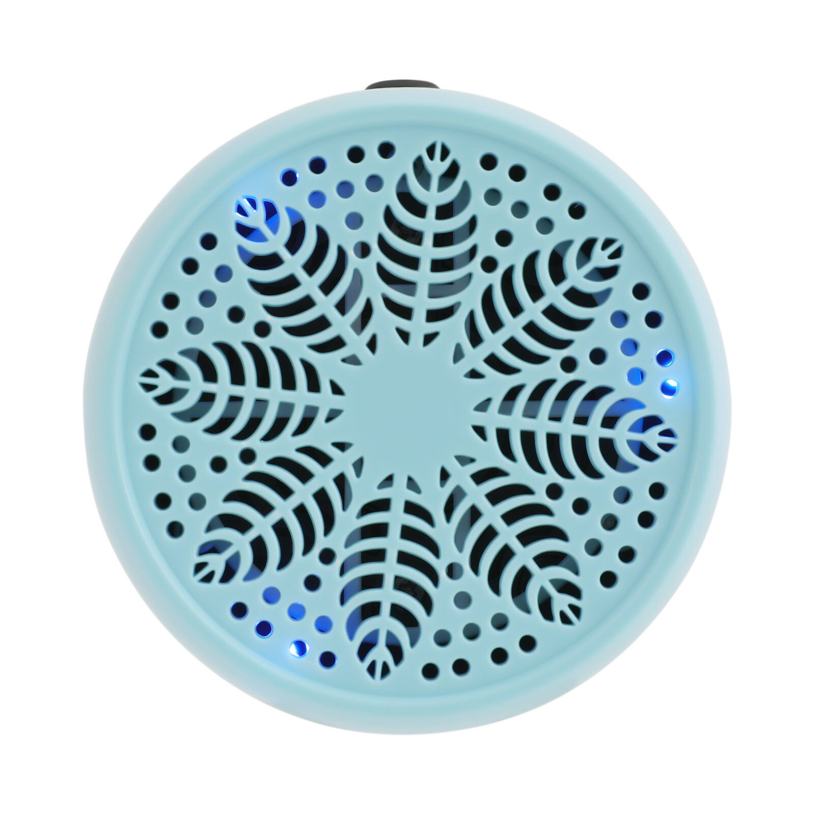 Fruit and Vegetable Washing Machine,Fruit Cleaner Device,Portable Fruit Purifier