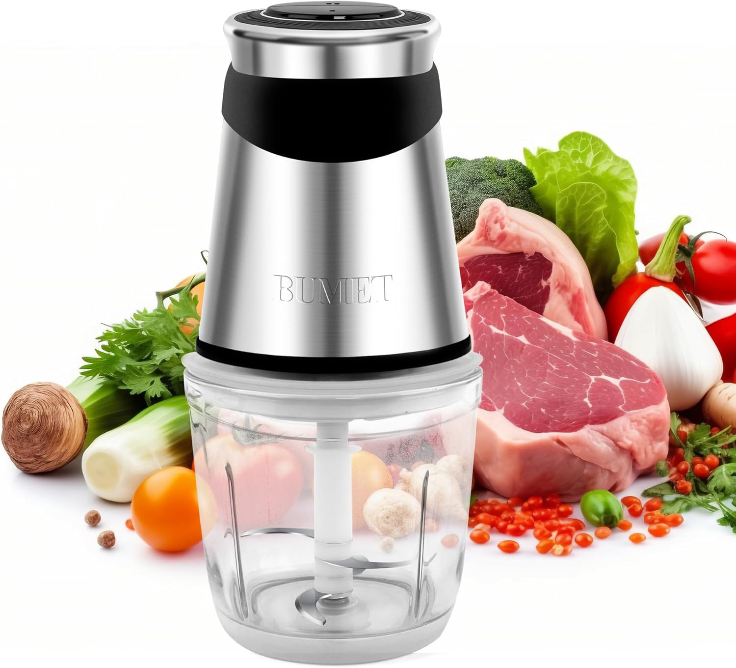 Electric Food Processor Vegetable Chopper 500W with 2.5 Cup Glass Bowl and Stain