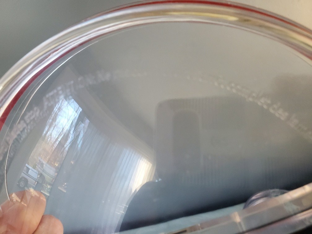 KitchenAid 13 Cup Food Processor KFP1355 Replacement Part BOWL LID / Lid Only