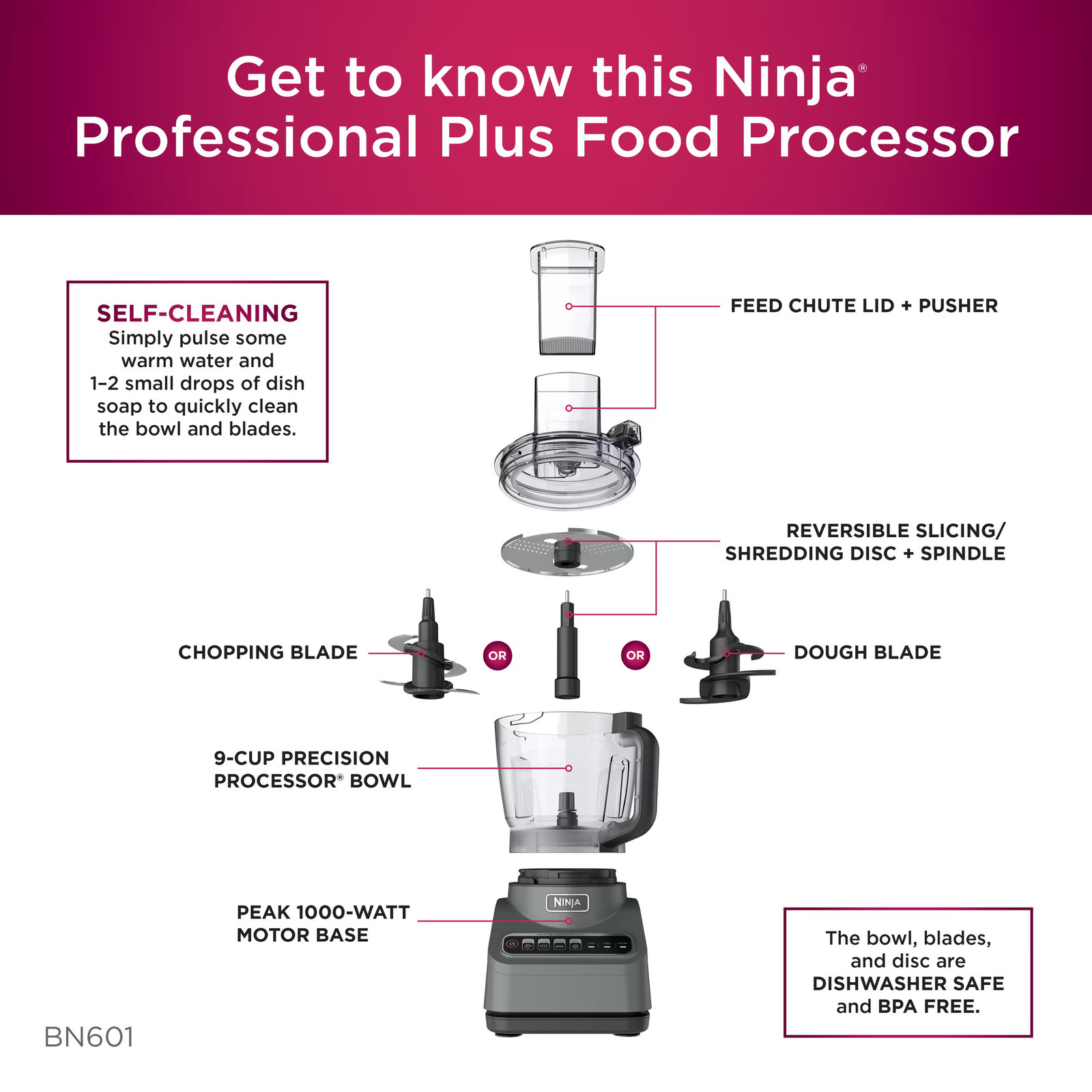 Ninja – Professional Food Processor, 1000 Peak Watts, 9-Cup Capacity, Auto-iQ…
