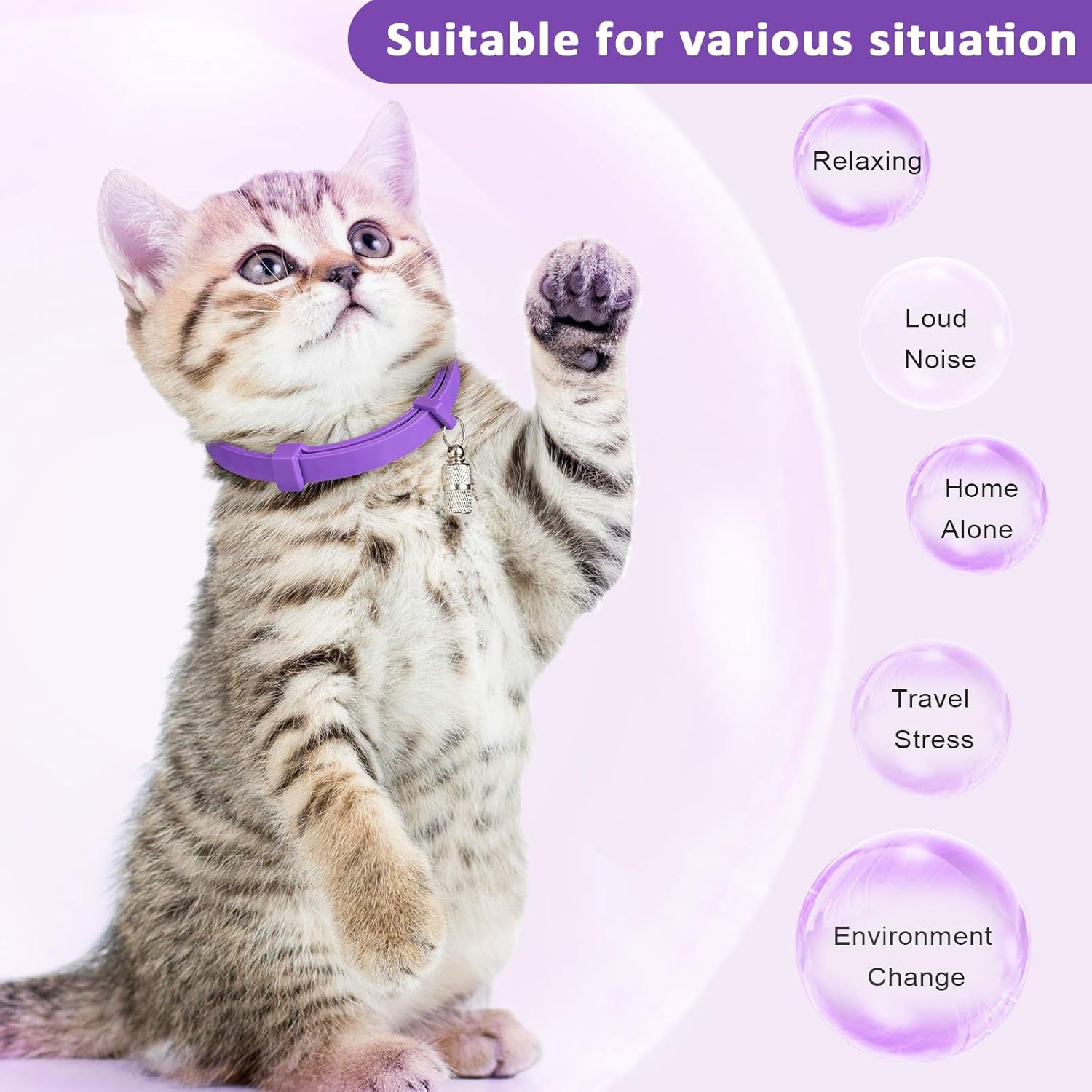 5 Set Calming Collar for Cats Adjustable Waterproof Cat Calming Collars Reduce A